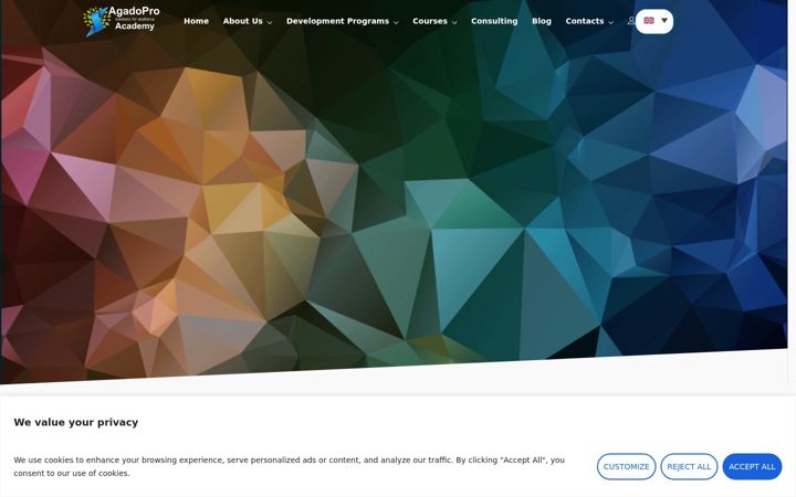 Screenshot of agadopro-academy.com