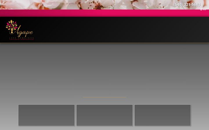 Screenshot of agapefuneralhome.com