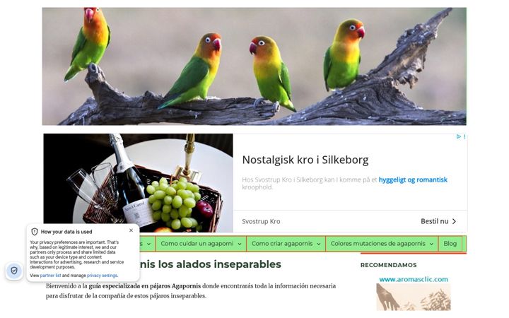 Screenshot of agapornis.mobi