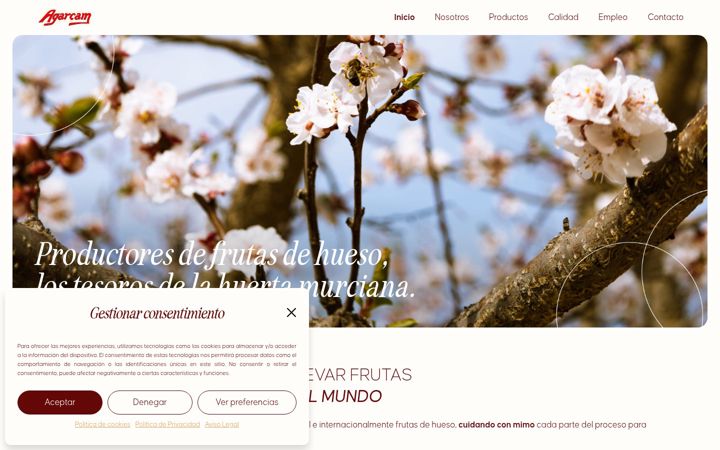 Captura de pantalla de agarcam.com