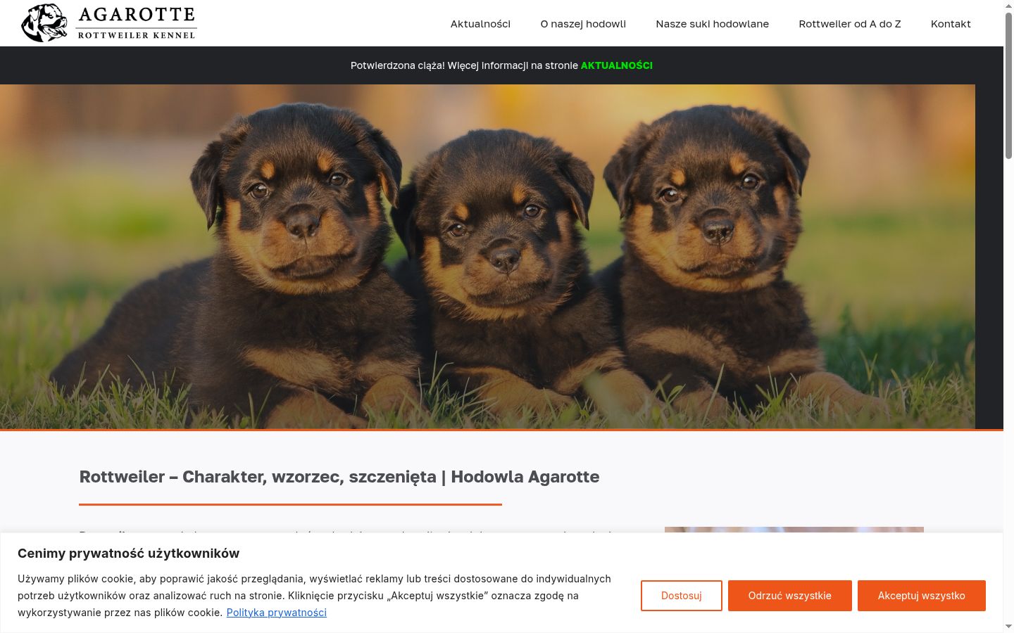 Képernyőkép a bármilyen interakció előtt megjelenő hozzájárulási bannerről