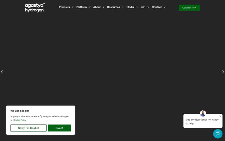 Snímek obrazovky agastyah2.com
