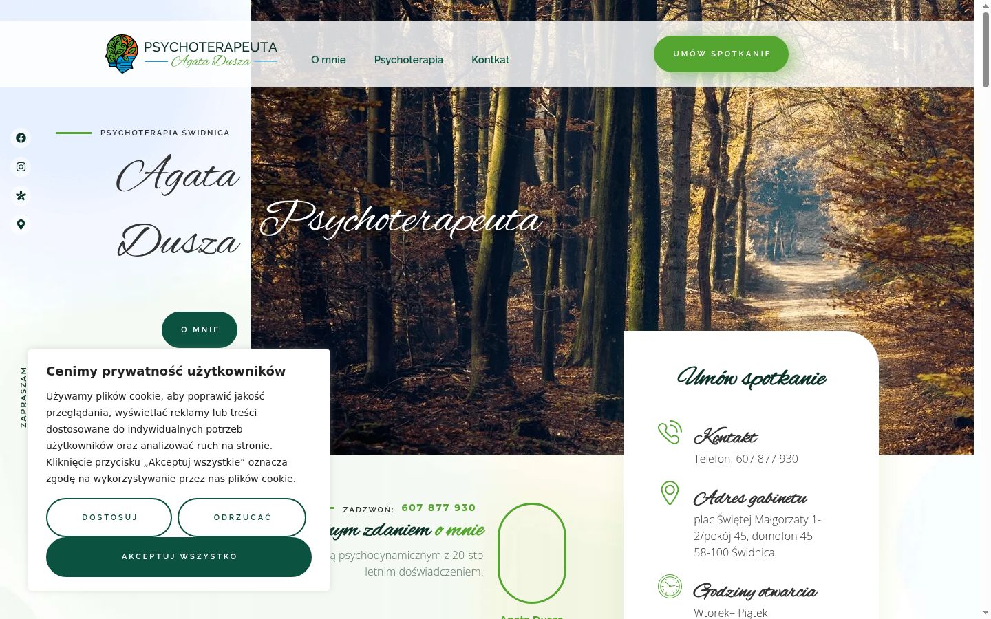 Zrzut ekranu banera zgody wyświetlanego przed jakąkolwiek interakcją