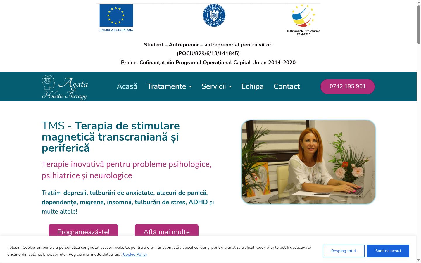 Screenshot of the consent banner shown before any interaction