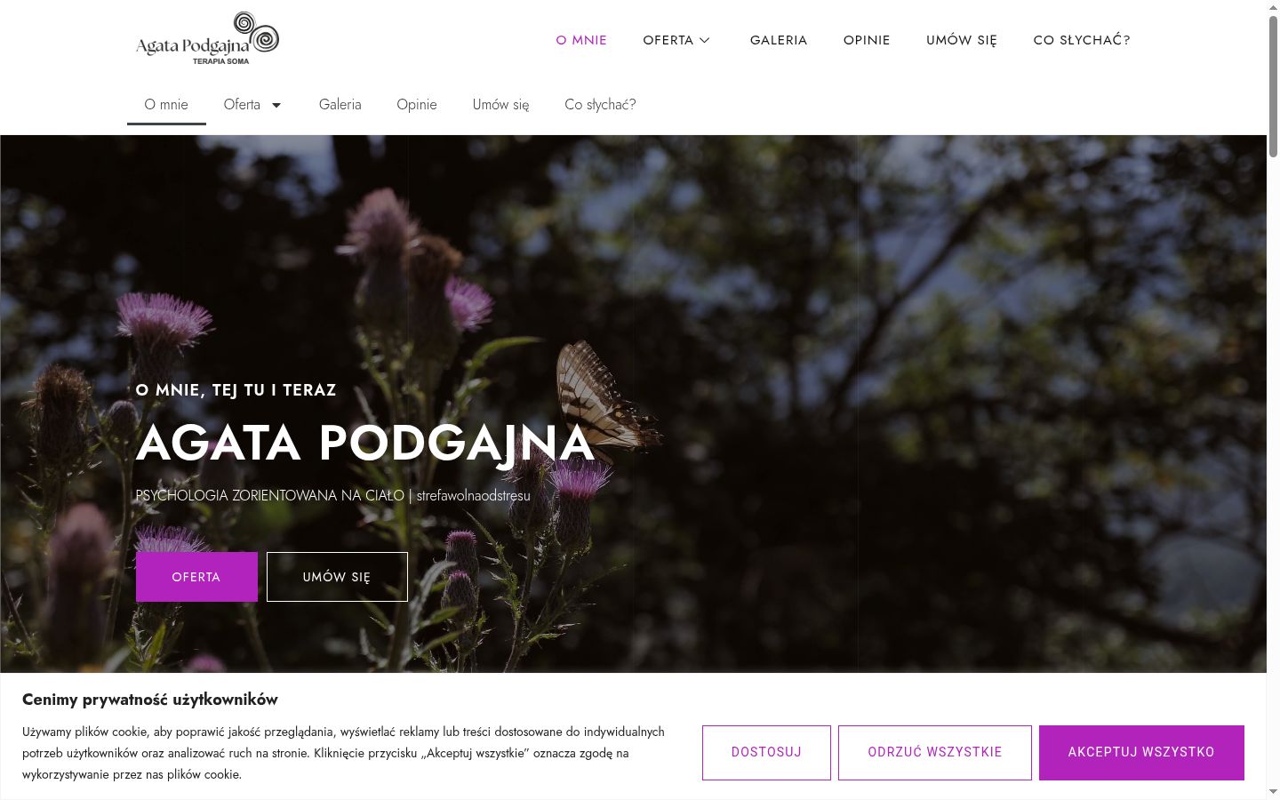 Ekrānuzņēmums ar piekrišanas baneri, kas tika rādīts pirms jebkādas mijiedarbības