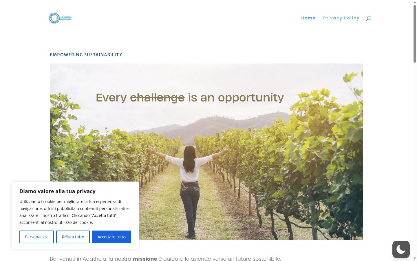 Screenshot of the consent banner shown before any interaction