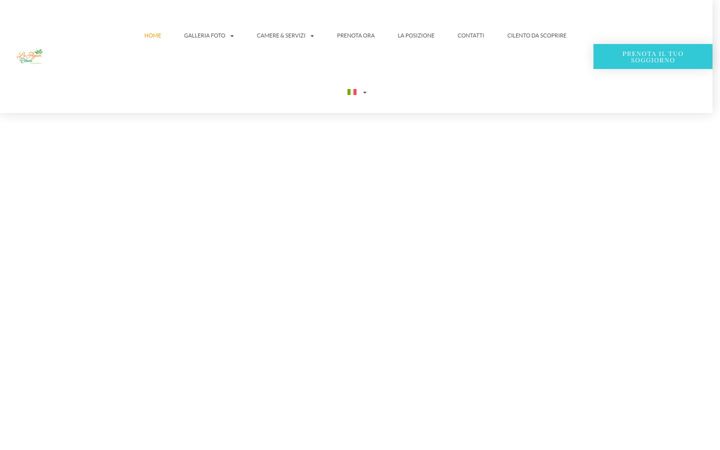 Captură de ecran a agavicilento.com