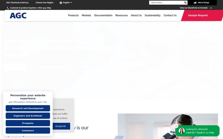 Snímek obrazovky agcchem.com