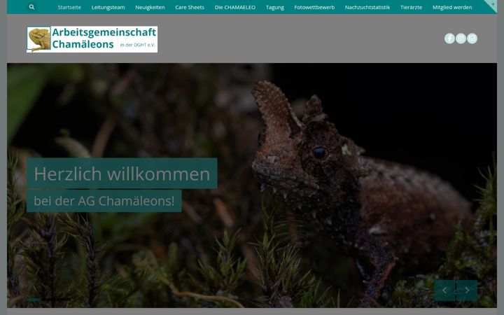 Screenshot of agchamaeleons.de