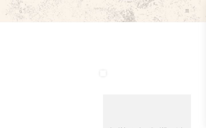 Screenshot stránky agedtraveler.com