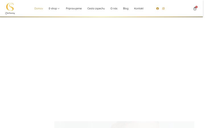 Screenshot von ageloc.sk