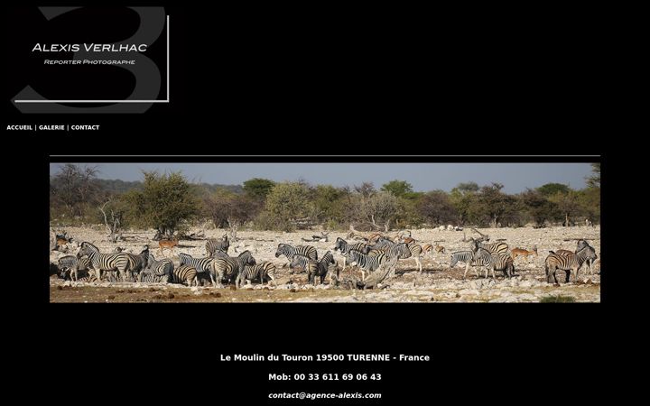 Screenshot of agence-alexis.com