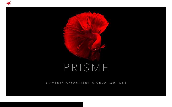 Screenshot of agence-grenoble-communication.com