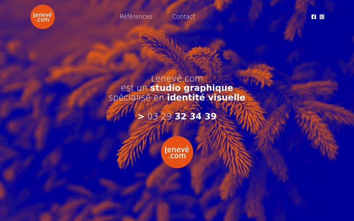 Screenshot of agence-leneve.com