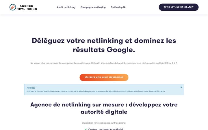 Capture d'écran de agence-netlinking.fr