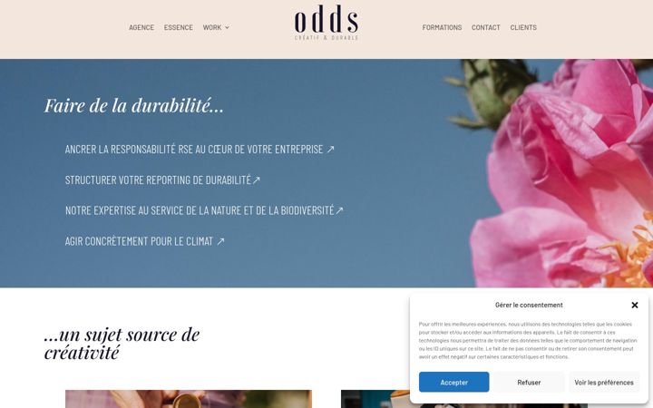 Skærmbillede af agence-odds.fr