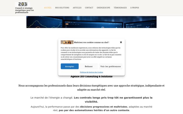 Skjámynd af agence203.net