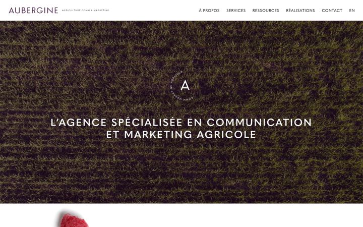 Screenshot of agenceaubergine.ca