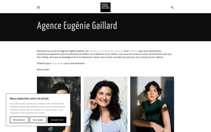 Screenshot of agencegaillard.com
