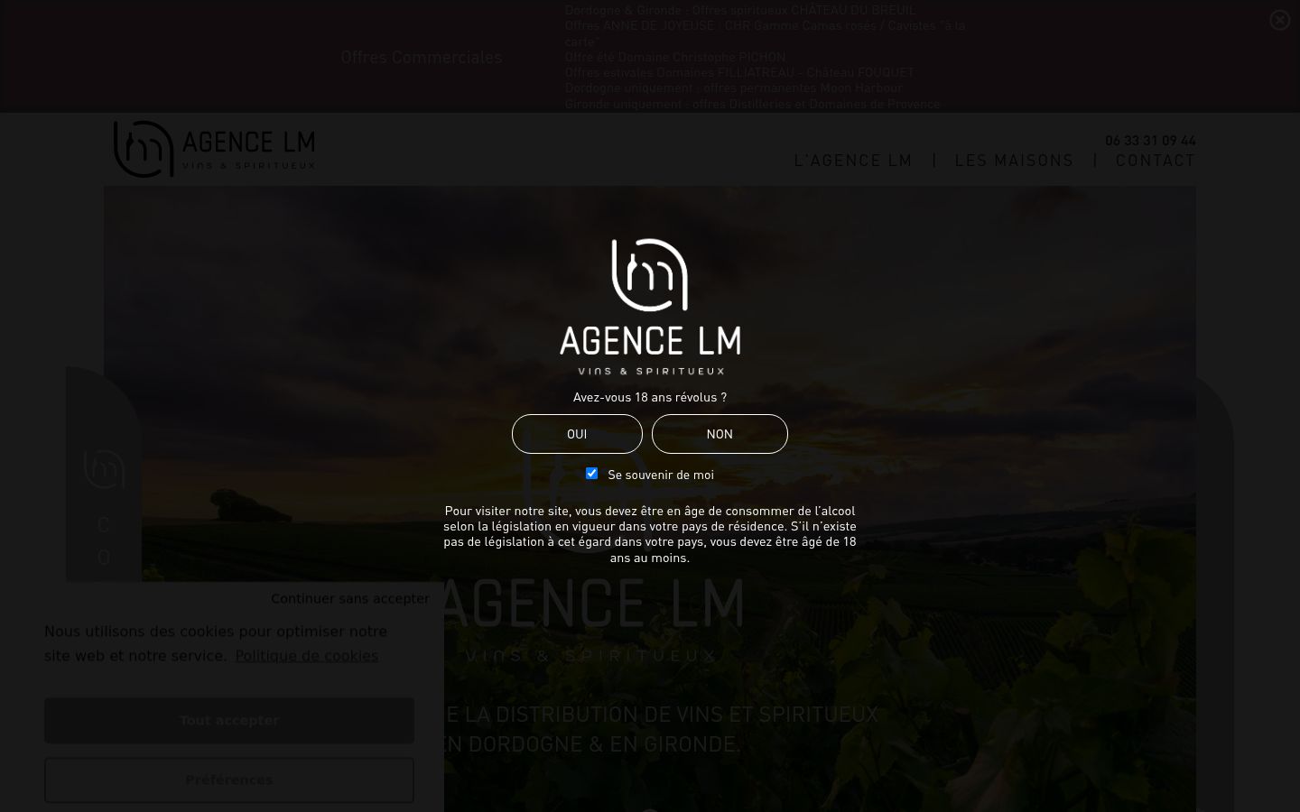 Screenshot tal-banner tal-kunsens muri qabel kwalunkwe interazzjoni