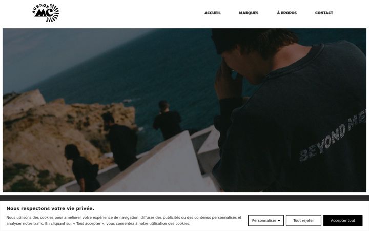 Screenshot of agencemc.ca