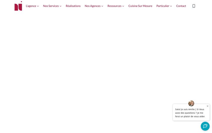 Screenshot di agencenilsen.fr