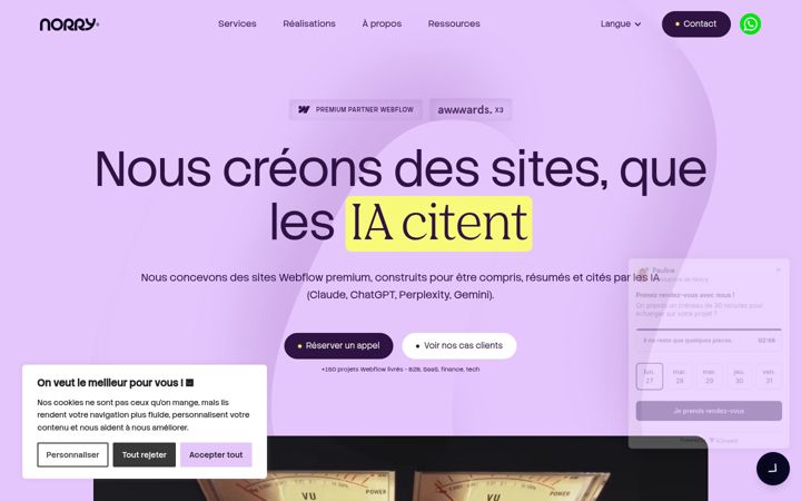 Screenshot di agencenorry.com