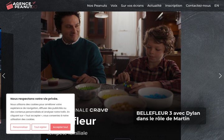Captura de pantalla de agencepeanut.com