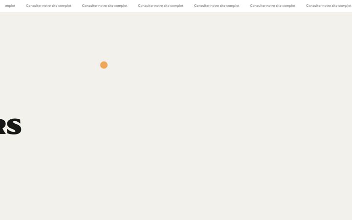 Screenshot of agencesecrete.com