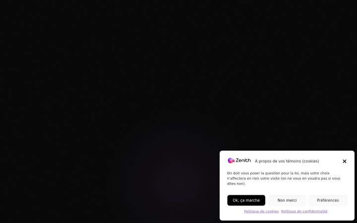 Screenshot of agenceseozenith.ca