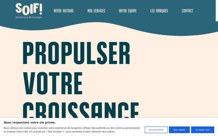 Screenshot of agencesoif.com