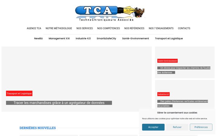 Skjámynd af agencetca.info
