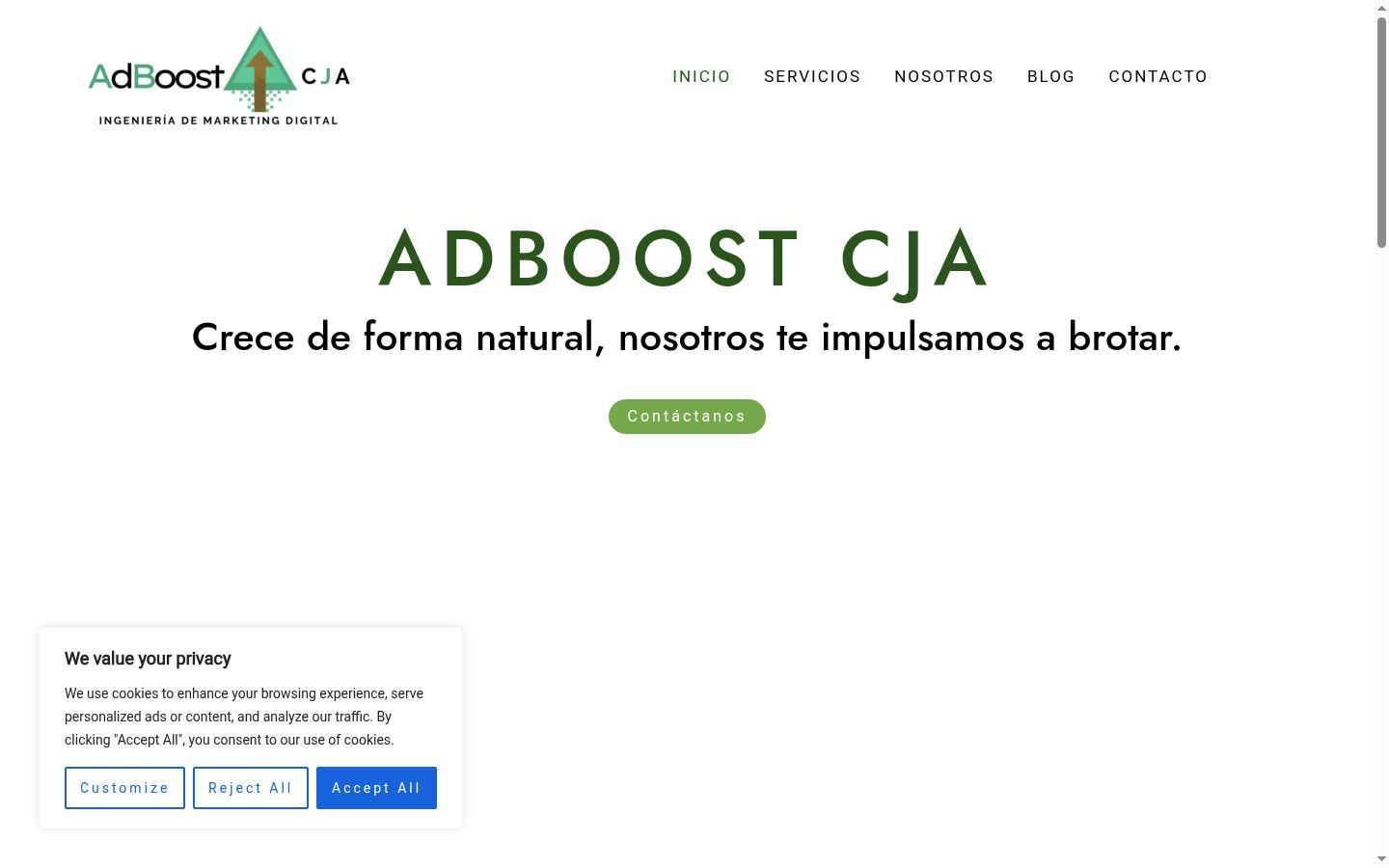 Screenshot of the consent banner shown before any interaction