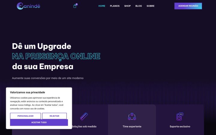 Posnetek zaslona agenciacaninde.com.br