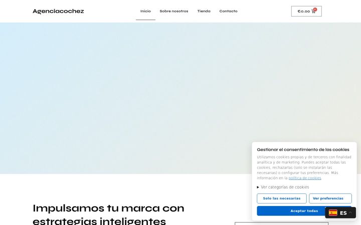 Screenshot of agenciacochez.com