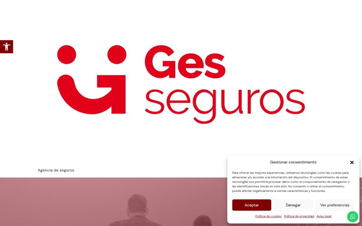 Screenshot of agenciadesegurosbm.com
