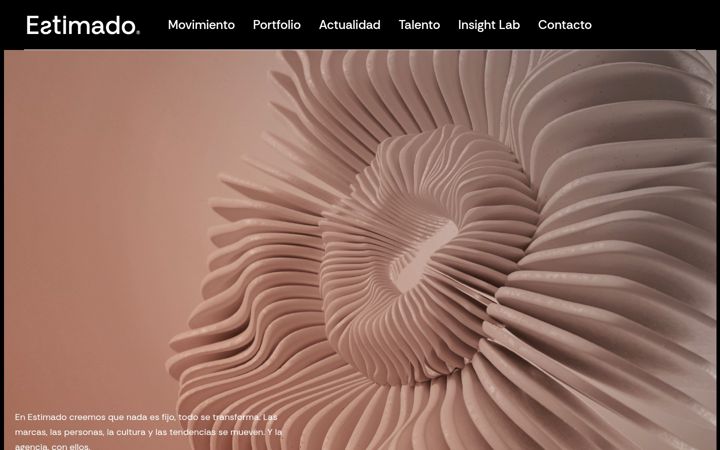 Screenshot of agenciaestimado.com