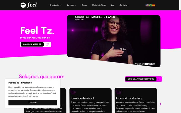 Zrzut ekranu agenciafeel.com