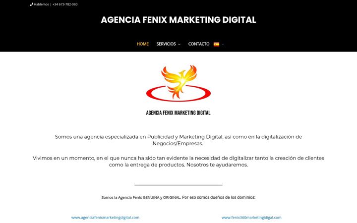 Zrzut ekranu agenciafenixmarketingdigital.com