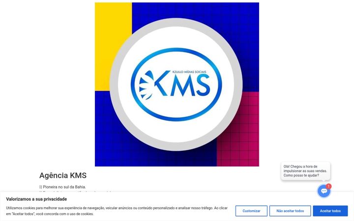 Screenshot ta' agenciakms.com.br
