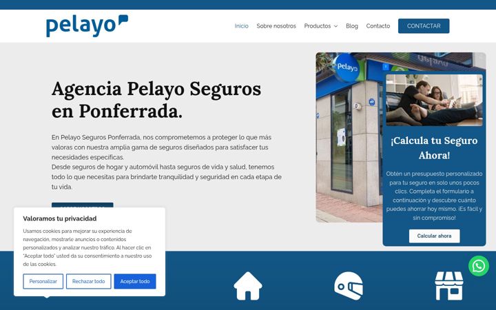 Screenshot of agenciapelayoseguros.com