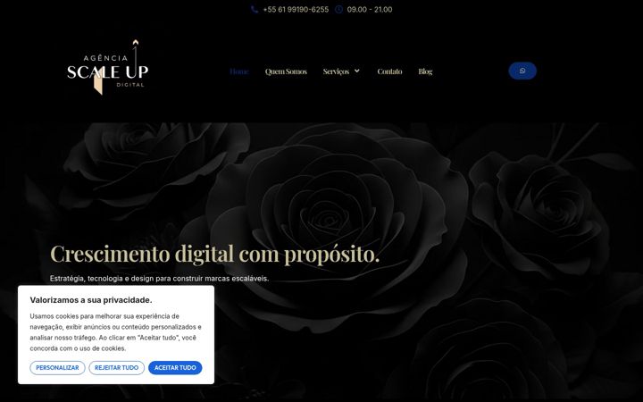Snímek obrazovky agenciascaleupdigital.com