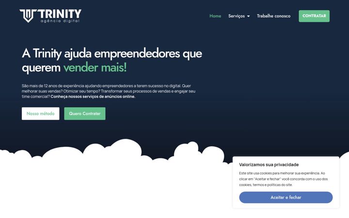Ekrano kopija agenciatrinity.com