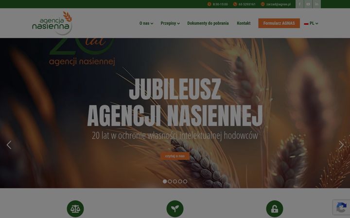 Snímek obrazovky agencjanasienna.pl