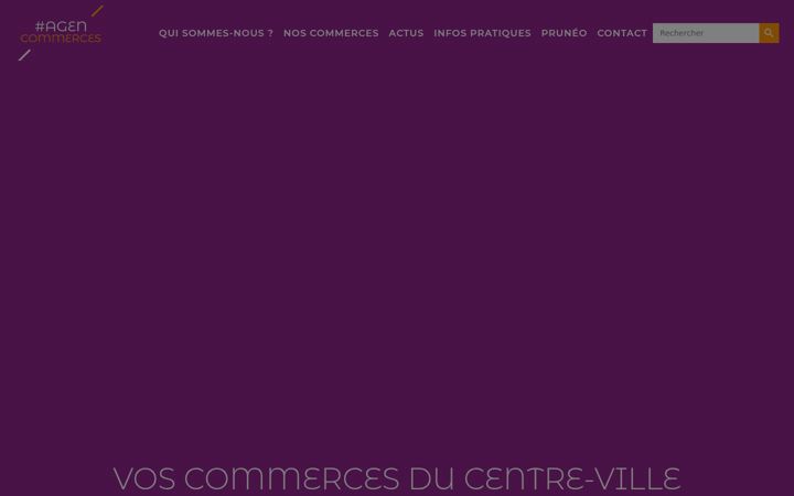 Skærmbillede af agencommerces.fr