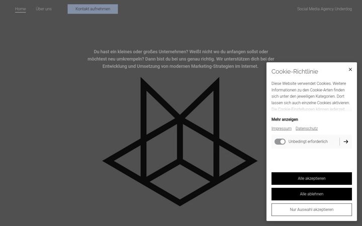 Screenshot of agency-underdog.de