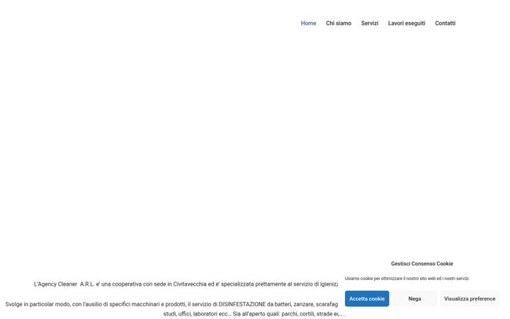 Screenshot of agencycleaner.it