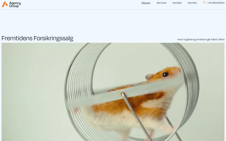 Screenshot of agencygroup.dk