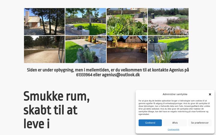 Screenshot of agenius.dk