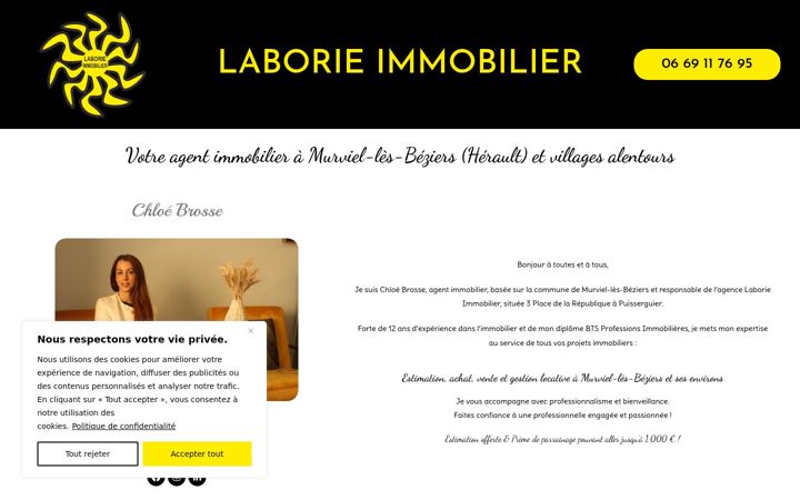 Skjámynd af agent-immobilier-murviel.fr